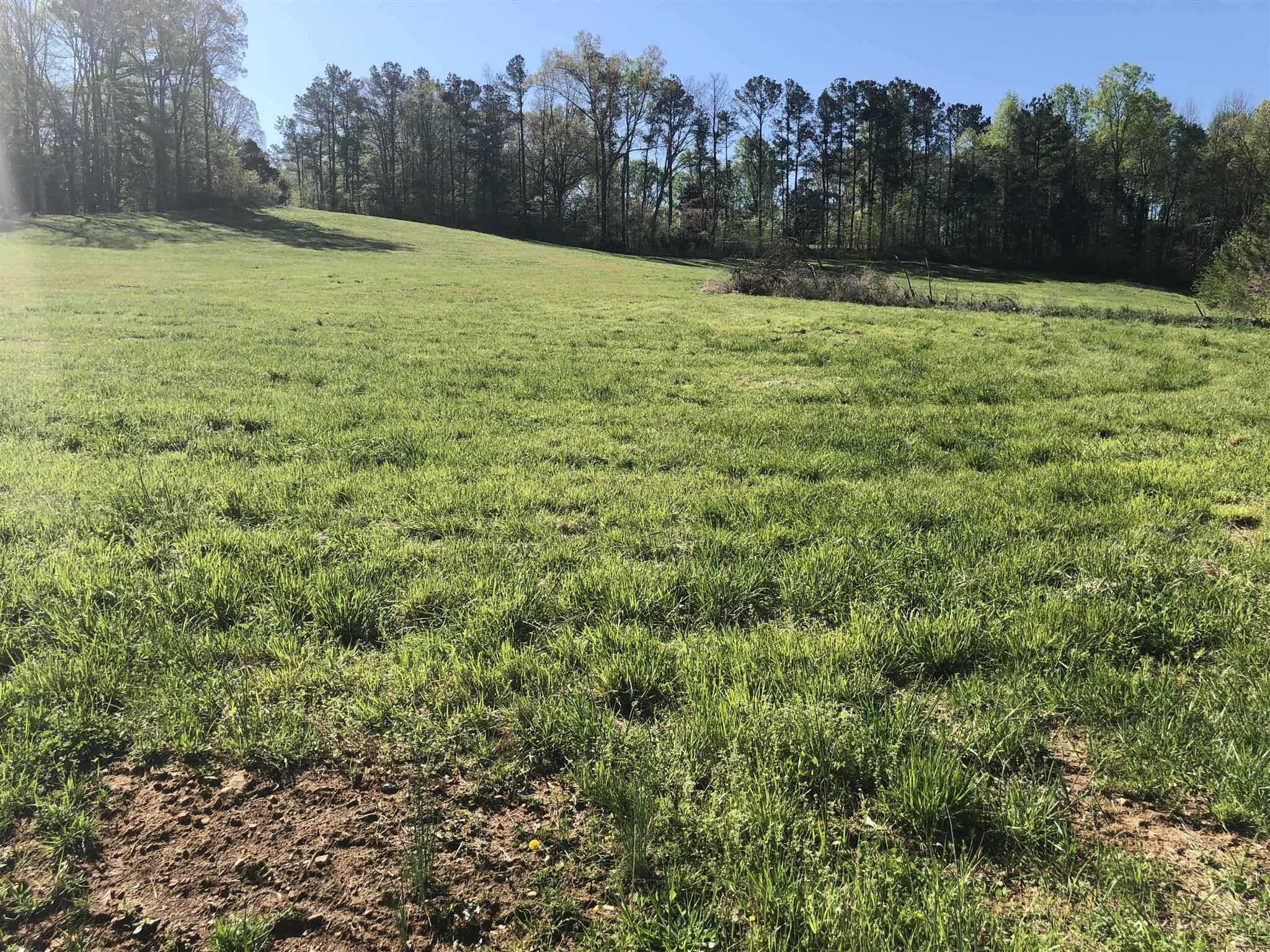 a view of a field with trees in the background