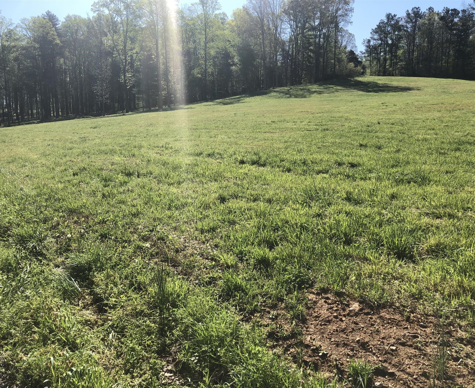 0 Treemont Road Dickson, TN 37055 - Photo 2 of 9 a view of an outdoor space and a yard