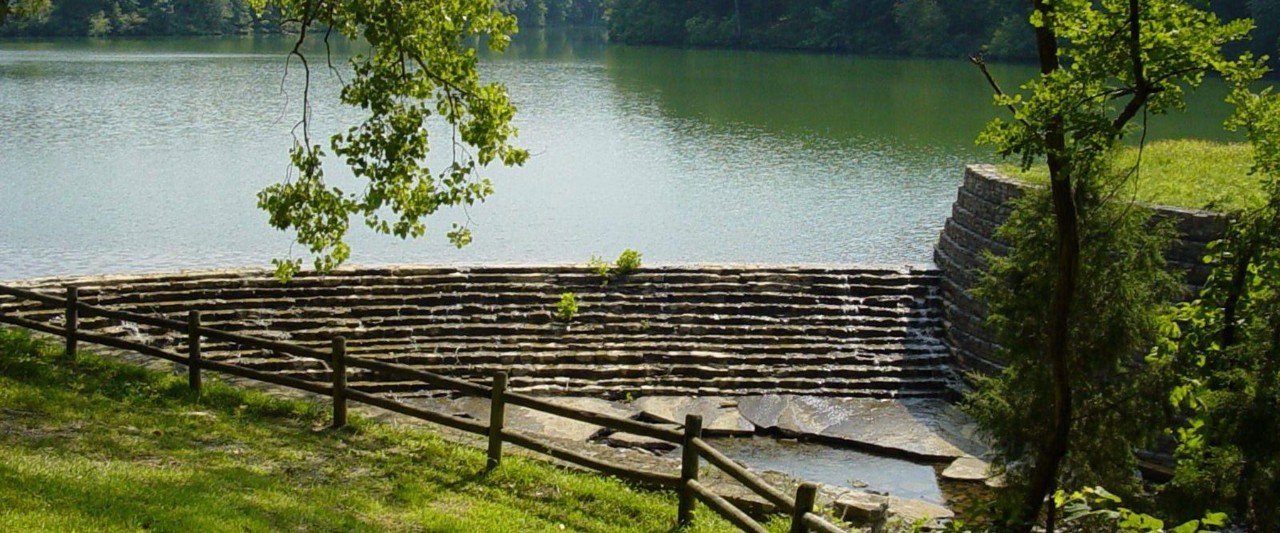 0 Treemont Road Dickson, TN 37055 - Photo 8 of 9 a close up of a plant in a lake