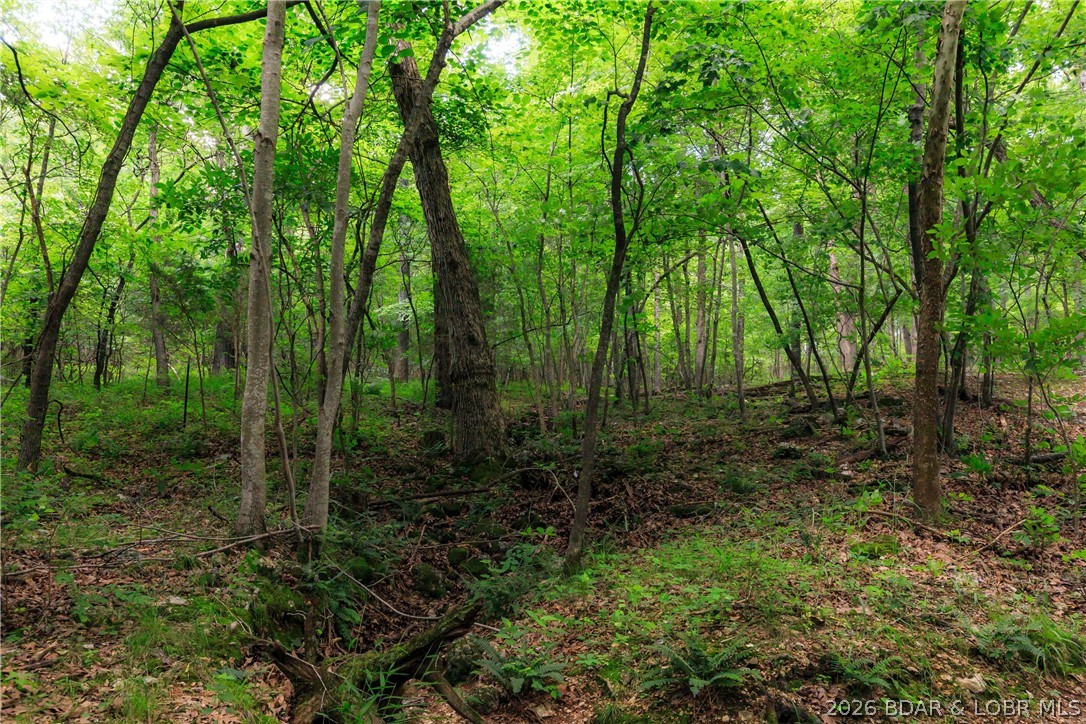 400 Hidden Acres Road Camdenton, MO 65020 - Photo 18 of 39