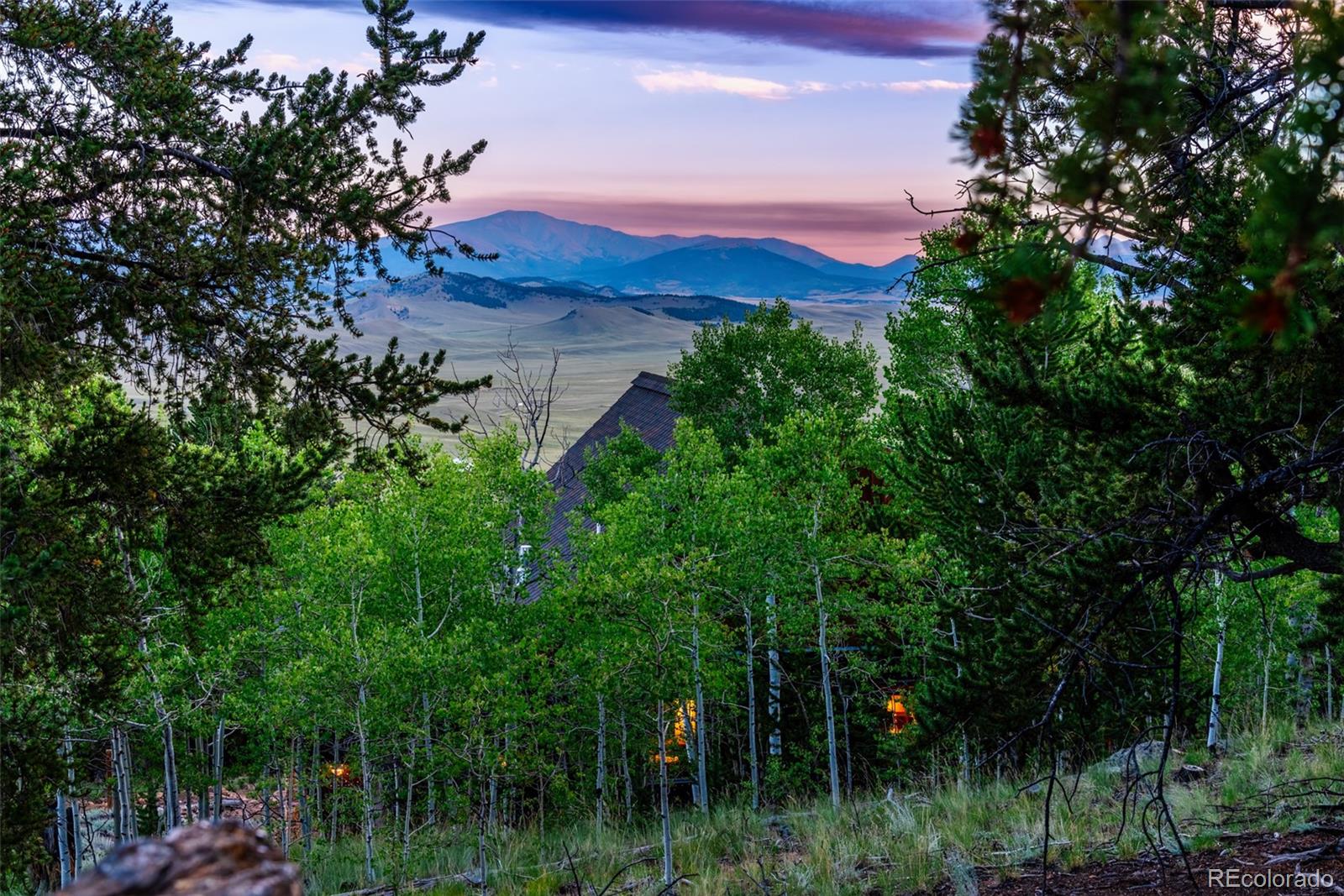 1023 Raven Way Como, CO 80432 - Photo 36 of 40 a view of a lush green forest with a tree in the background