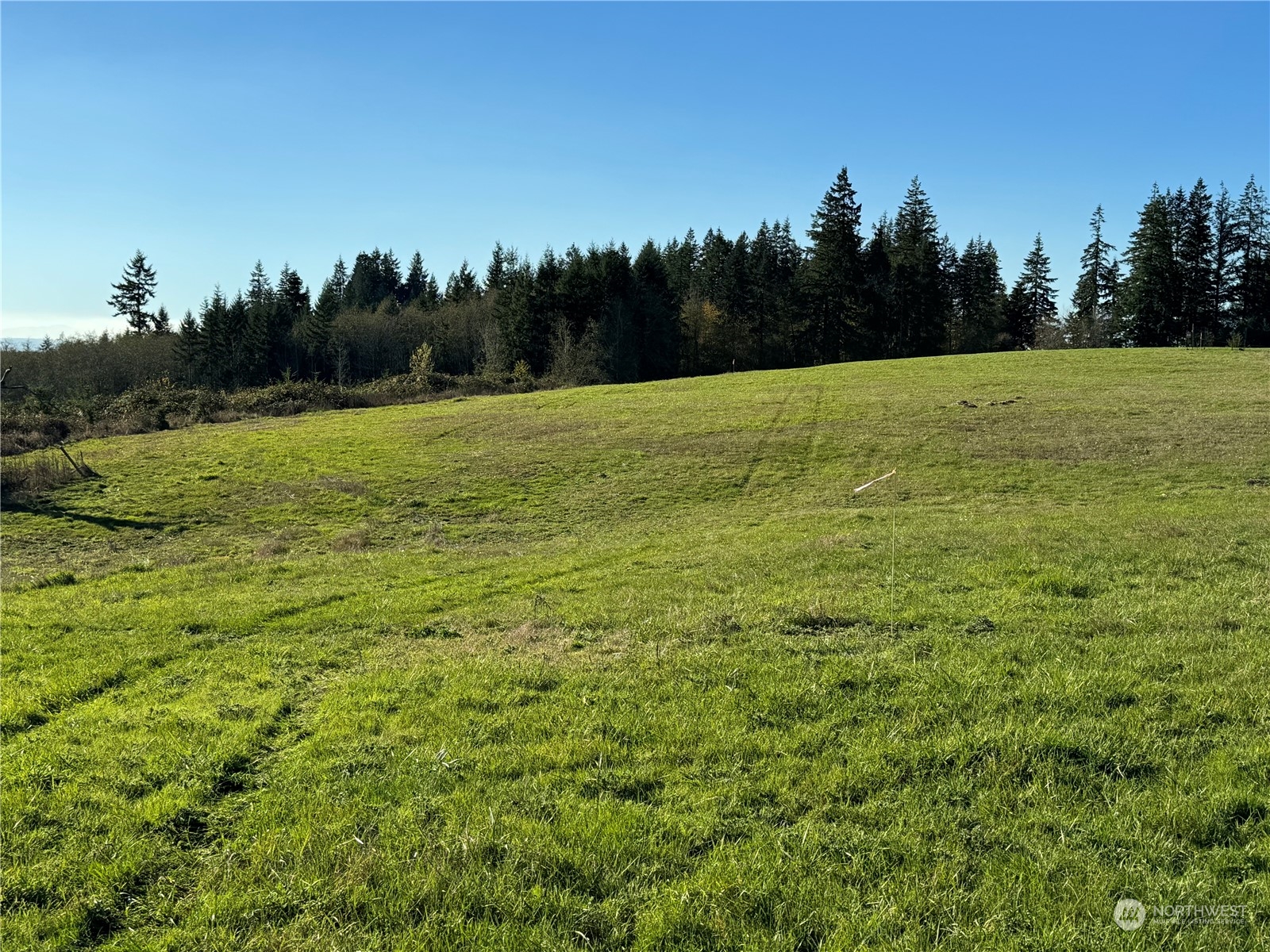 186 Oppelt Road Chehalis, WA 98532 - Photo 33 of 33 Gallery Image 33