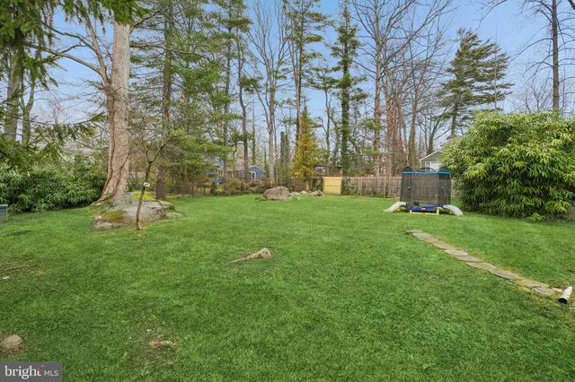 a view of a backyard with large trees