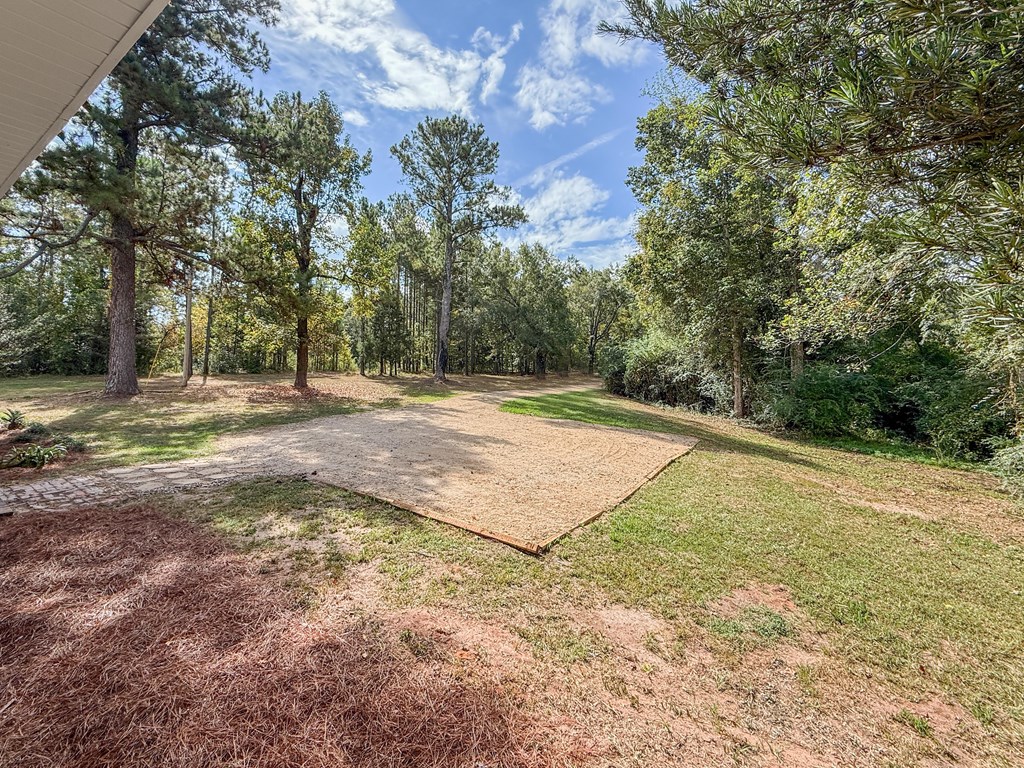 1289 Bruner Pond Road Ashford, AL 36312 - Photo 19 of 65