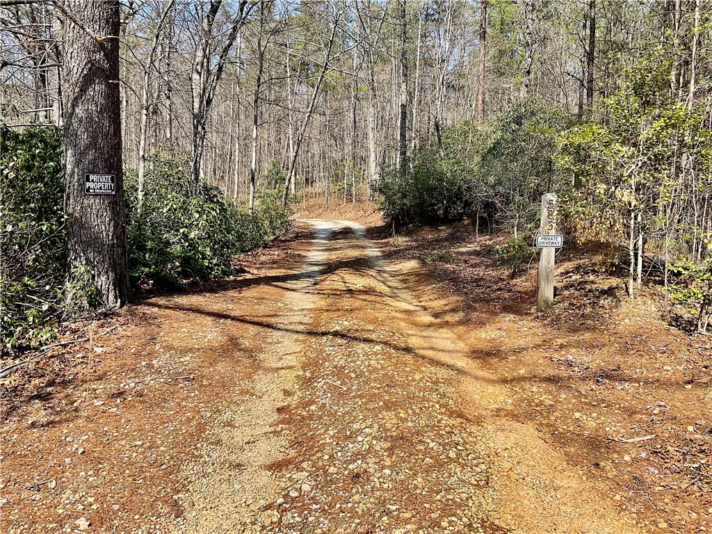 585 Gnats Hollow Road Mountain Rest, SC 29664 - Photo 23 of 49 Gallery Image 23