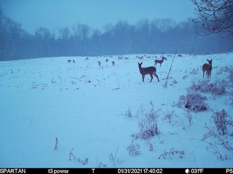 10 Blue Road Mount Vernon, OH 43050 - Photo 21 of 23 IMG_7988