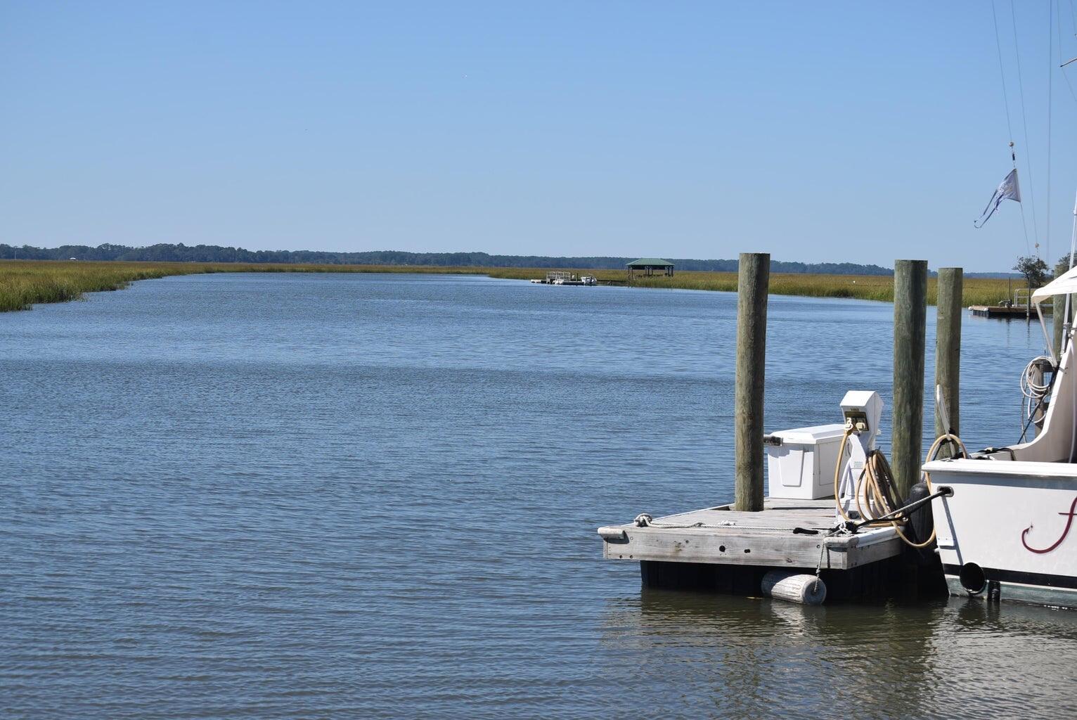 6852 McCants Road Wadmalaw Island, SC 29487 - Photo 1 of 21 IMG_0997