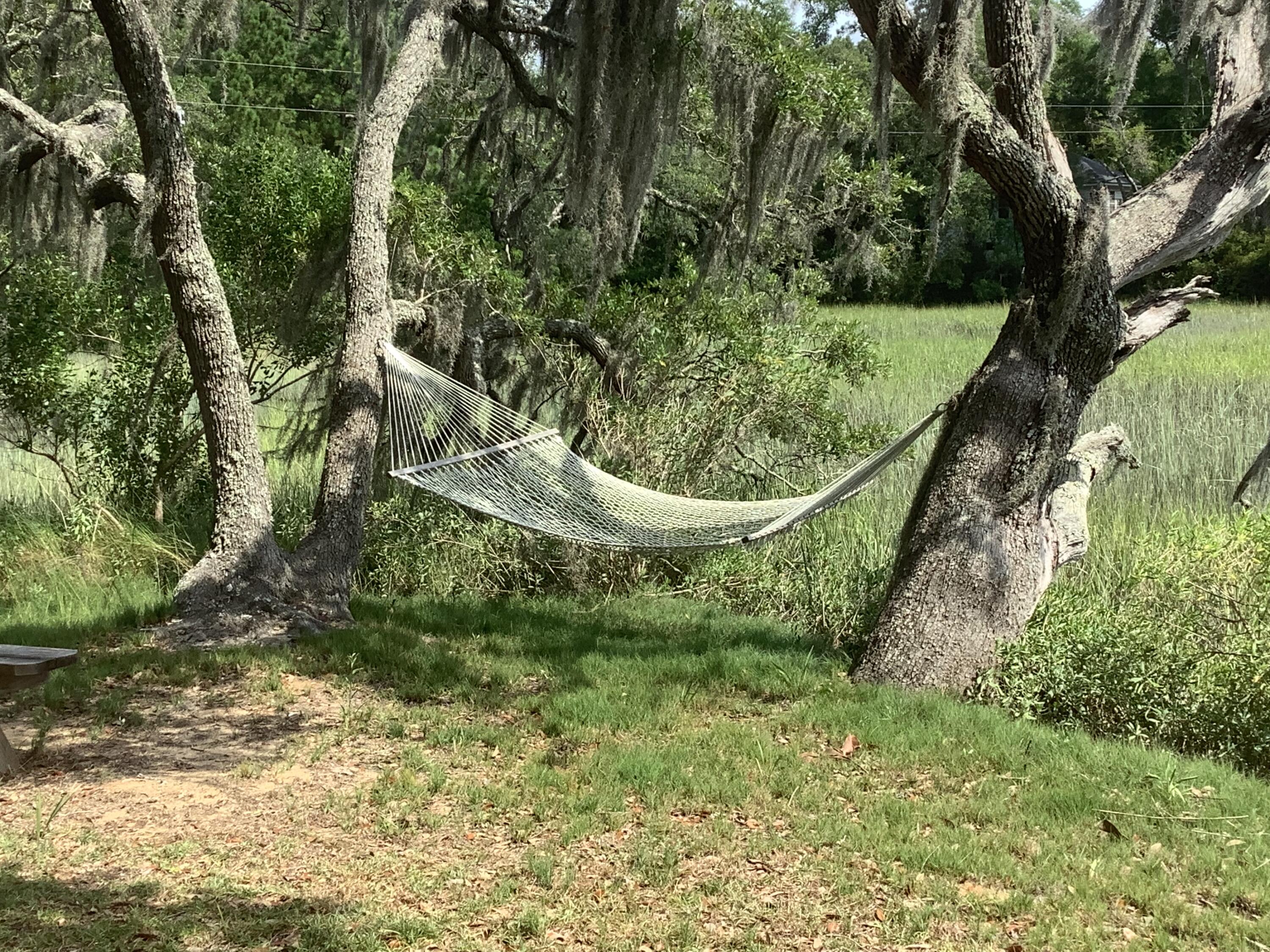 6852 McCants Road Wadmalaw Island, SC 29487 - Photo 14 of 21 IMG_0321