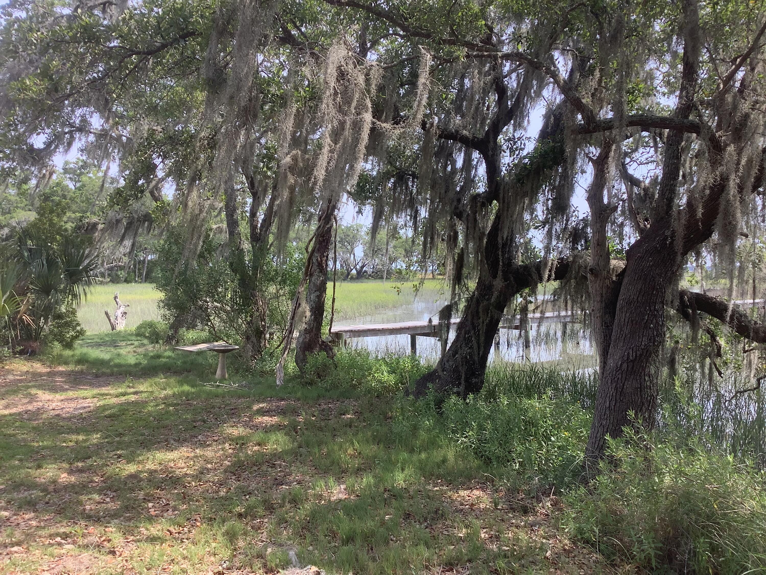 6852 McCants Road Wadmalaw Island, SC 29487 - Photo 17 of 21 IMG_0325