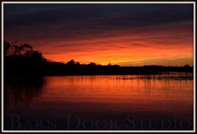 6852 McCants Road Wadmalaw Island, SC 29487 - Photo 4 of 21 IMG_1004