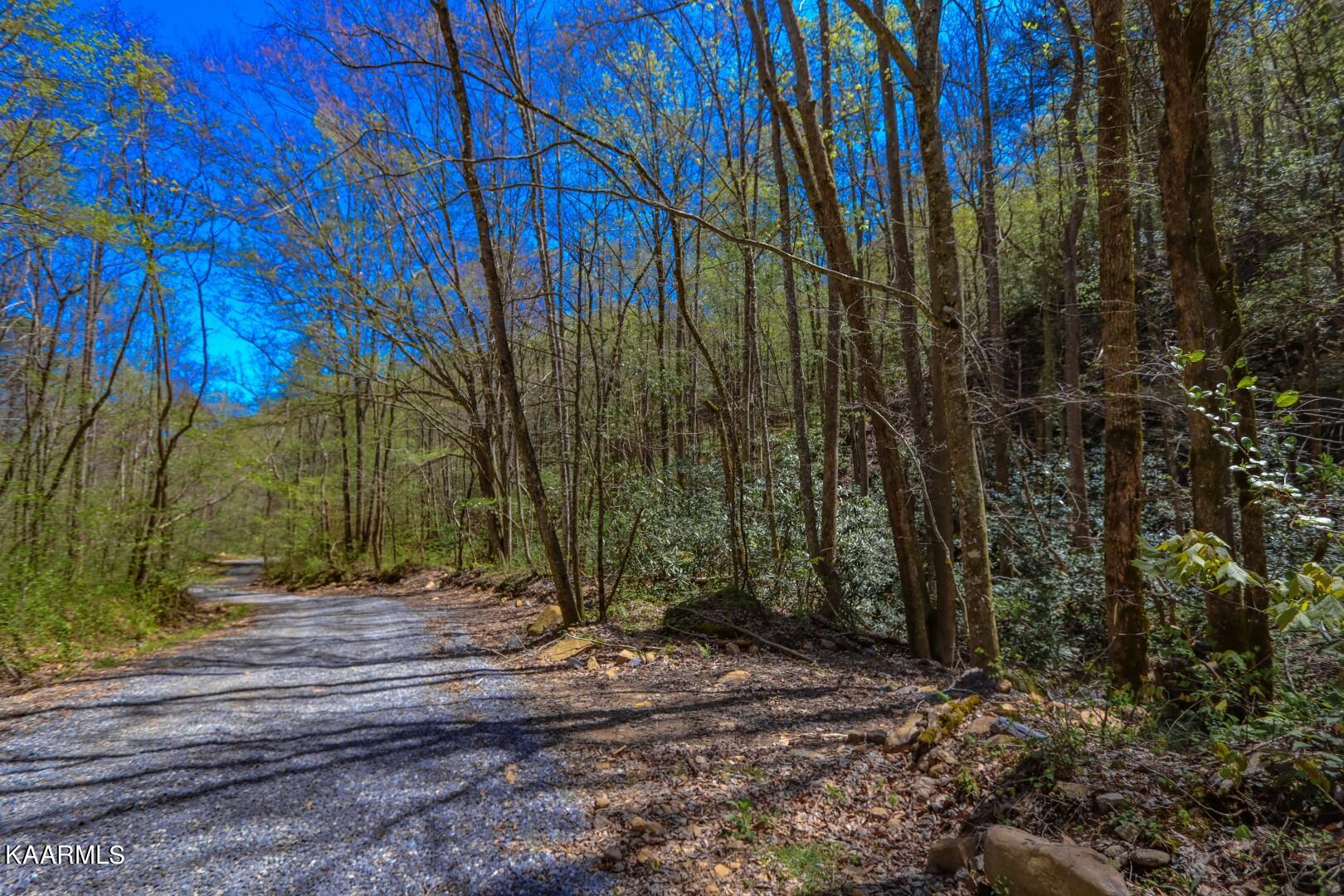 19.75 Yellow Springs Road Cosby, TN 37722 - Photo 2 of 33 3