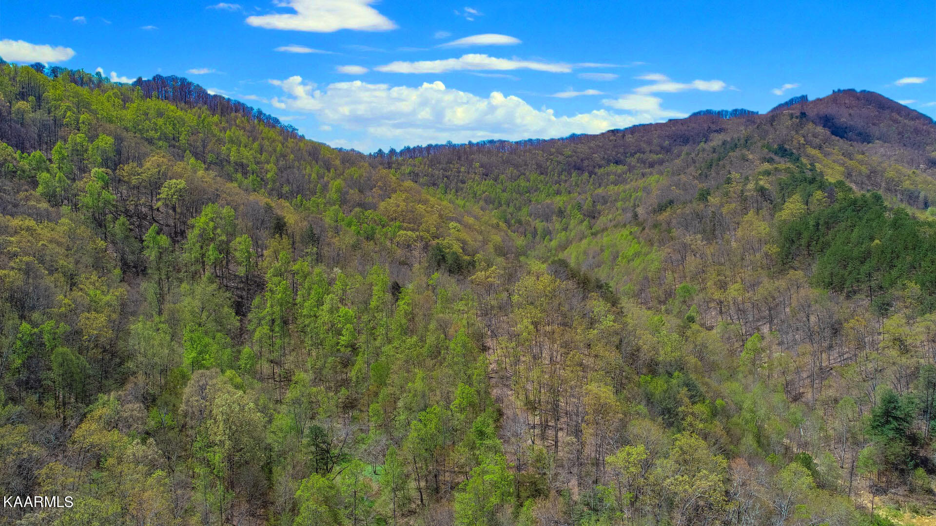 19.75 Yellow Springs Road Cosby, TN 37722 - Photo 21 of 33 8ps