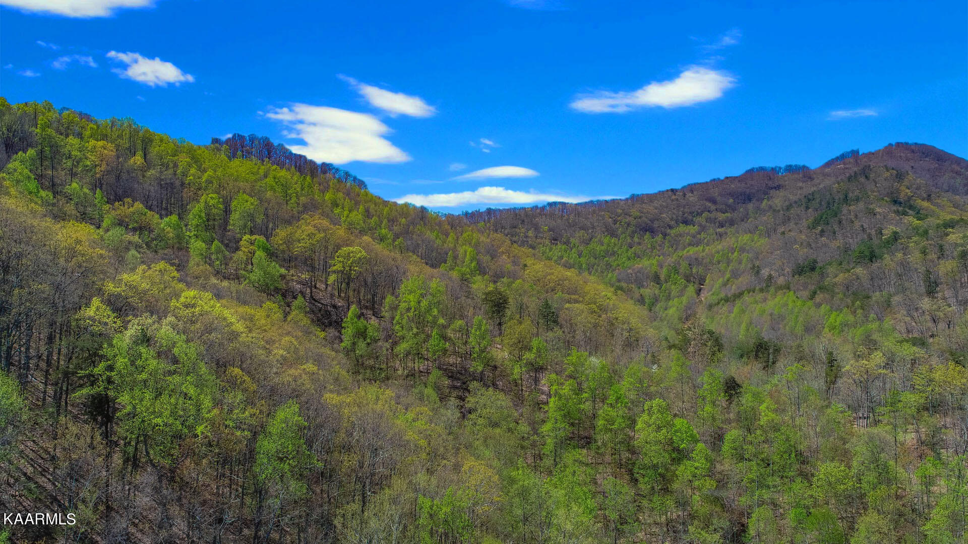 19.75 Yellow Springs Road Cosby, TN 37722 - Photo 23 of 33 10ps