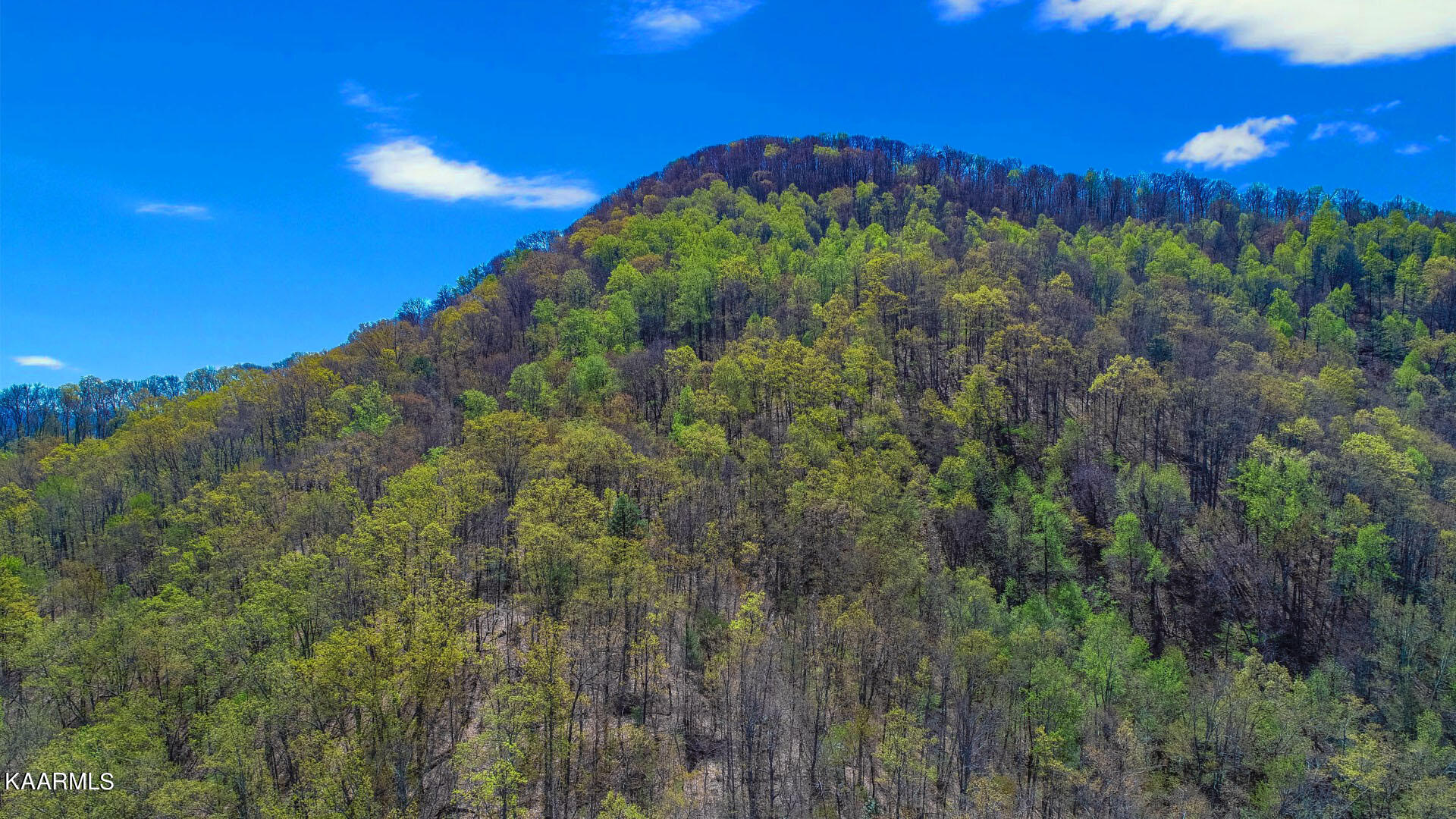 19.75 Yellow Springs Road Cosby, TN 37722 - Photo 26 of 33 13ps