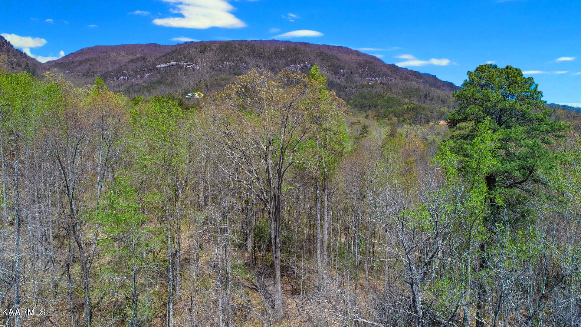 19.75 Yellow Springs Road Cosby, TN 37722 - Photo 27 of 33 14ps