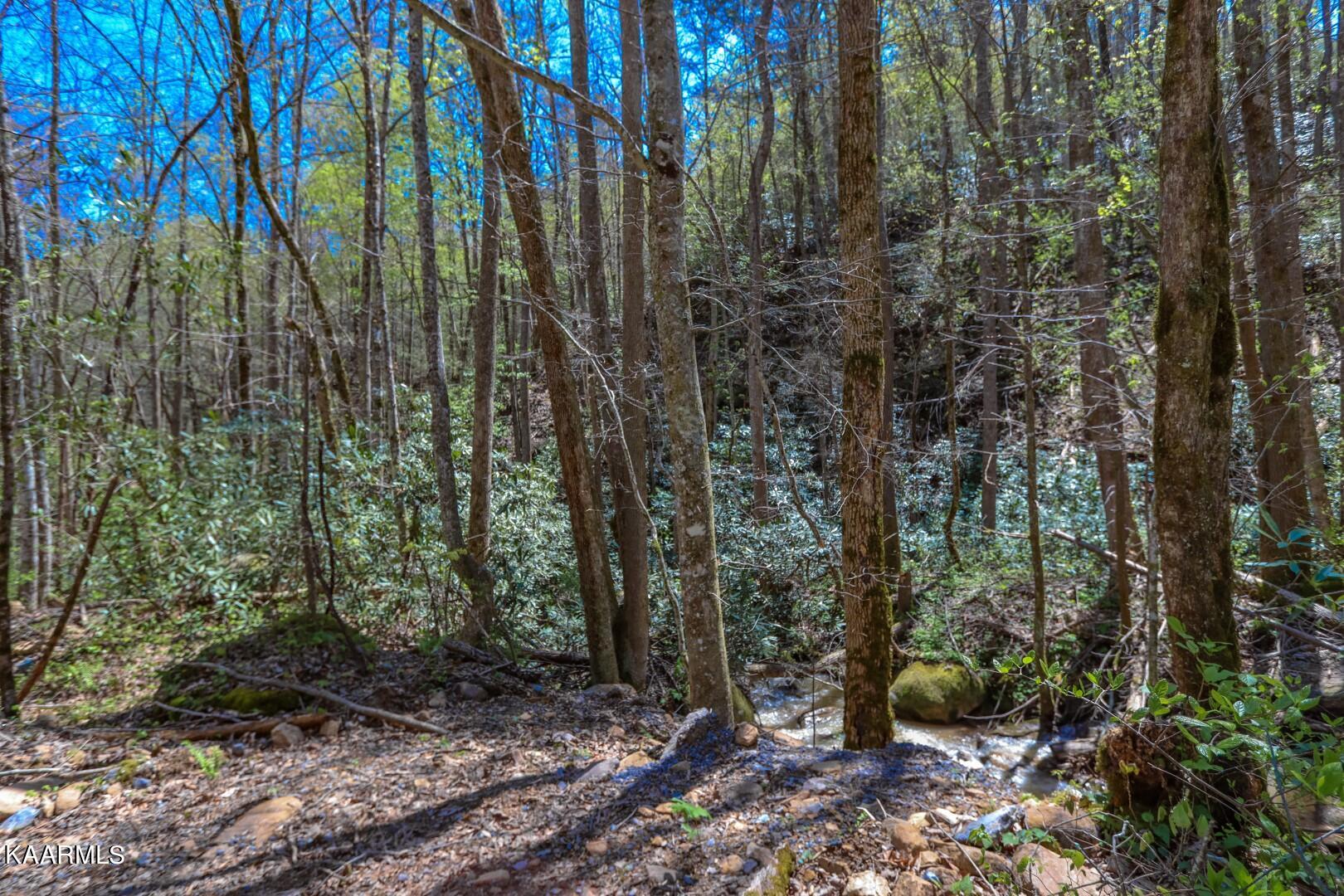 19.75 Yellow Springs Road Cosby, TN 37722 - Photo 29 of 33 16
