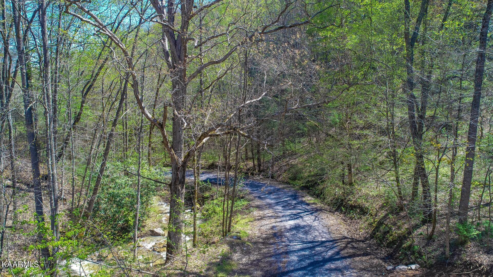 19.75 Yellow Springs Road Cosby, TN 37722 - Photo 3 of 33 4
