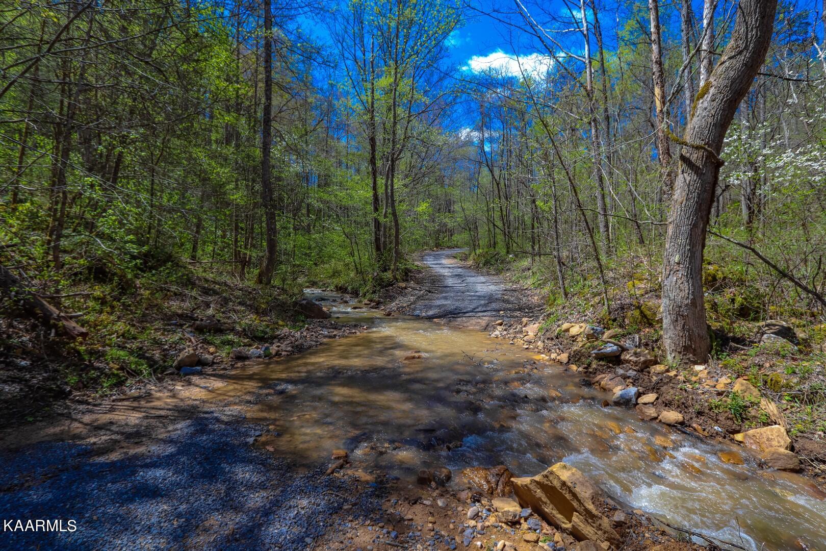 19.75 Yellow Springs Road Cosby, TN 37722 - Photo 4 of 33 5.1