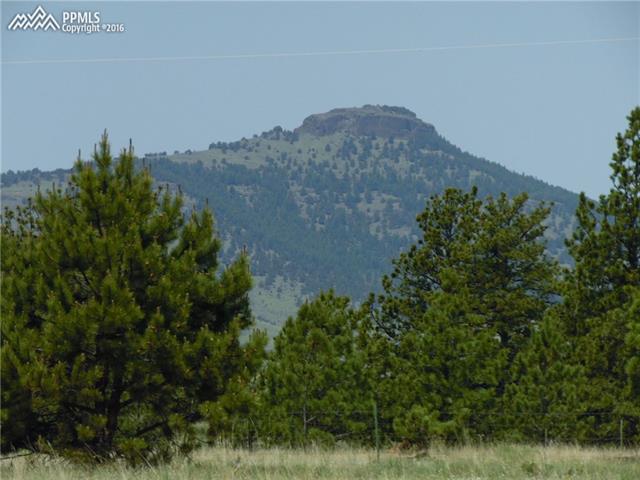 1090 Doe Valley Road Guffey, CO 80820 - Photo 6 of 15 On the property looking at Castle Mtn to the west