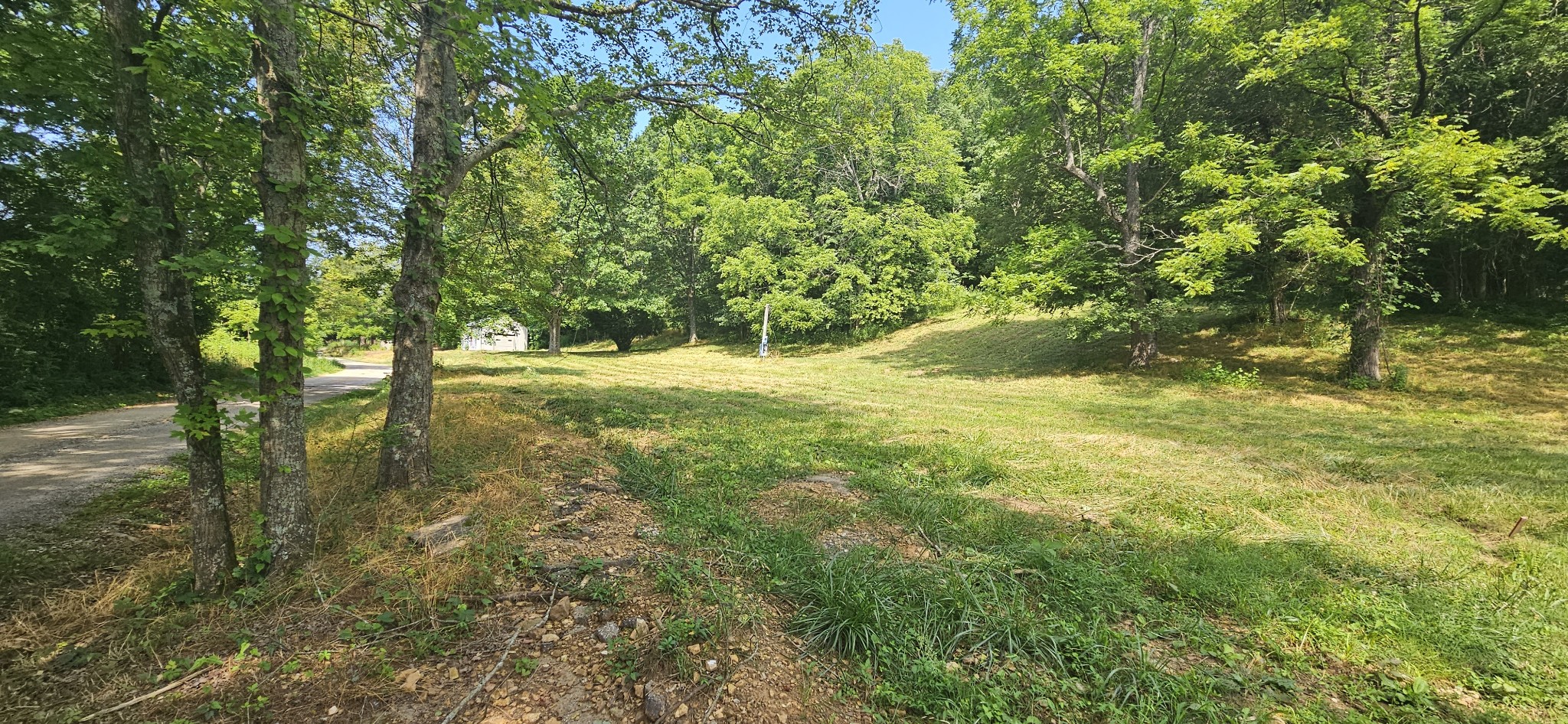 a view of outdoor space and yard