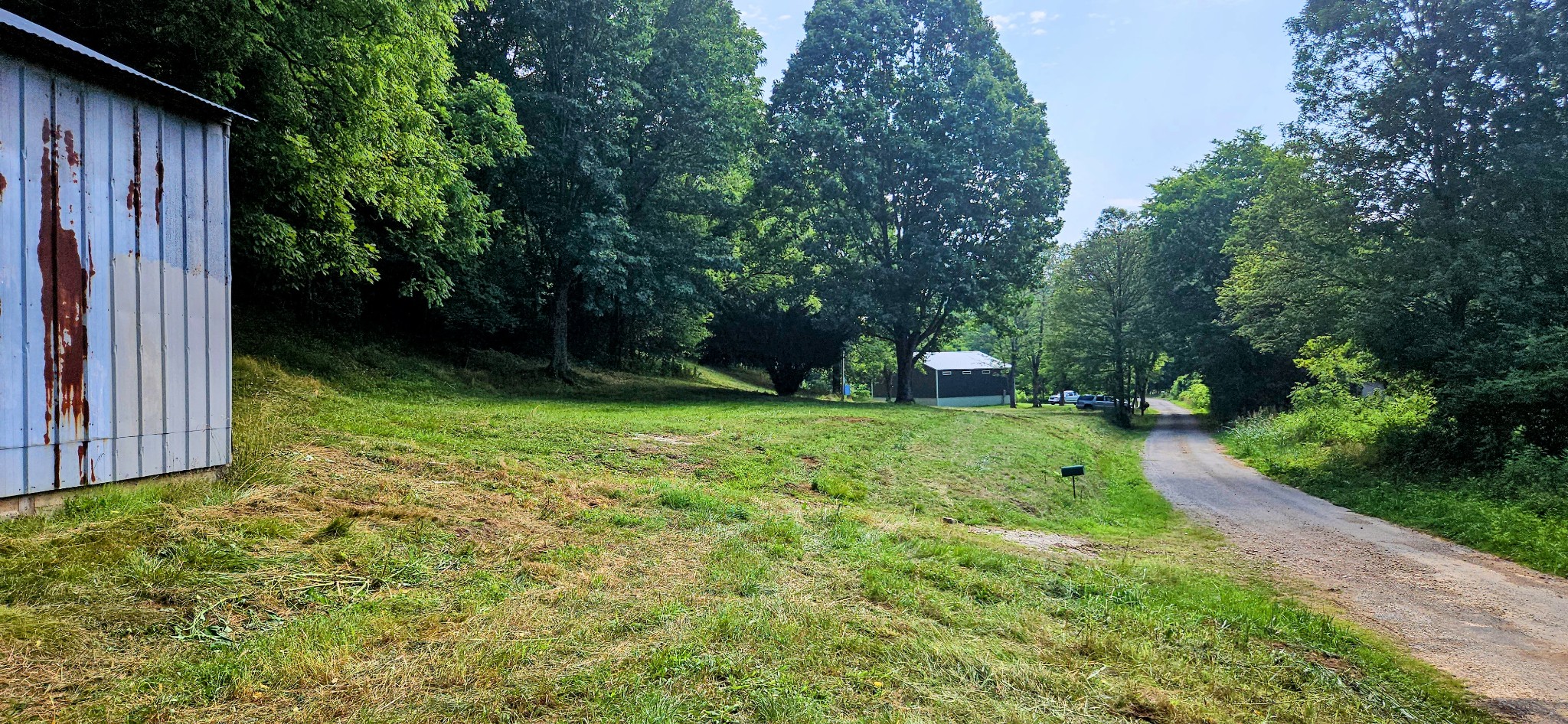 130 Ben Johnson Road Pulaski, TN 38478 - Photo 2 of 10 a view of a backyard with large trees and plants