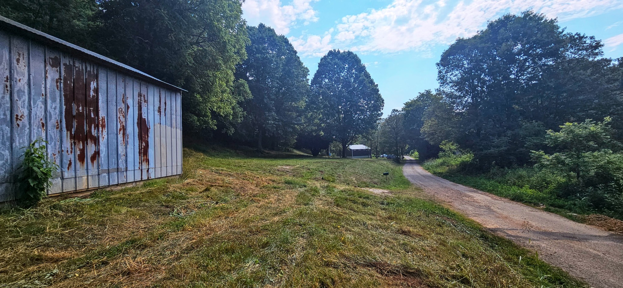 130 Ben Johnson Road Pulaski, TN 38478 - Photo 3 of 10 a view of a backyard with potted plants