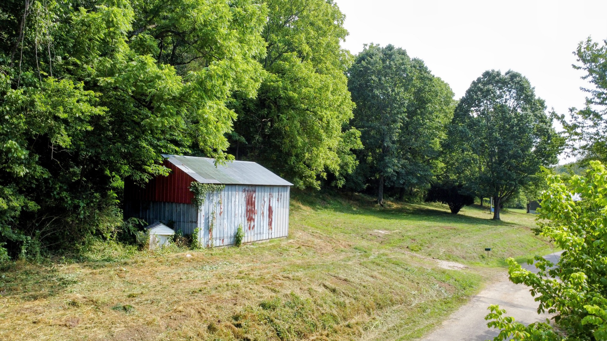 130 Ben Johnson Road Pulaski, TN 38478 - Photo 7 of 10 a view of a house with a yard and large tree