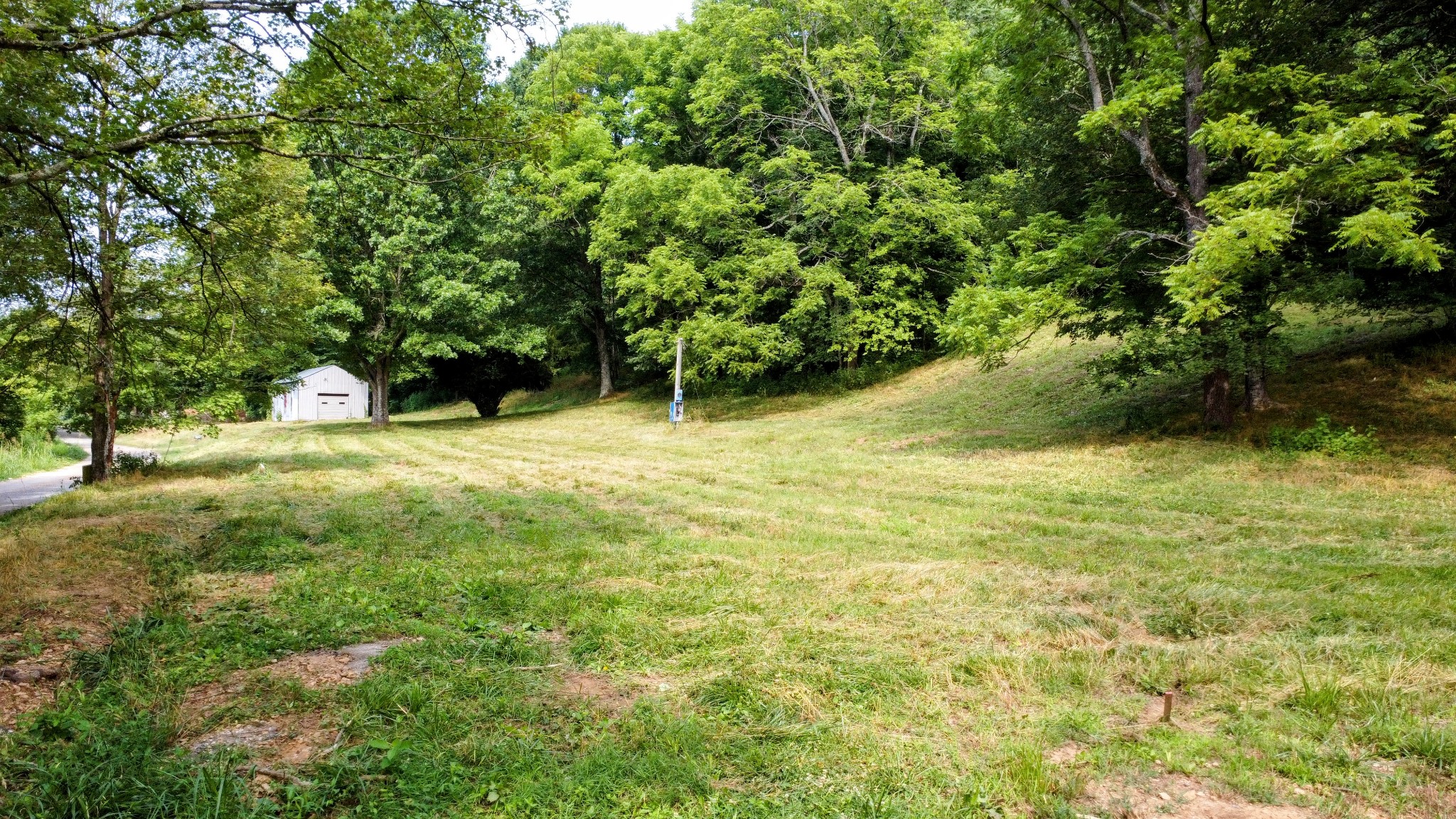 130 Ben Johnson Road Pulaski, TN 38478 - Photo 9 of 10 a view of swimming pool with a tree