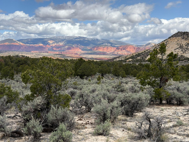 2196 East Teasdale Road Teasdale, UT 84773 - Photo 3 of 57