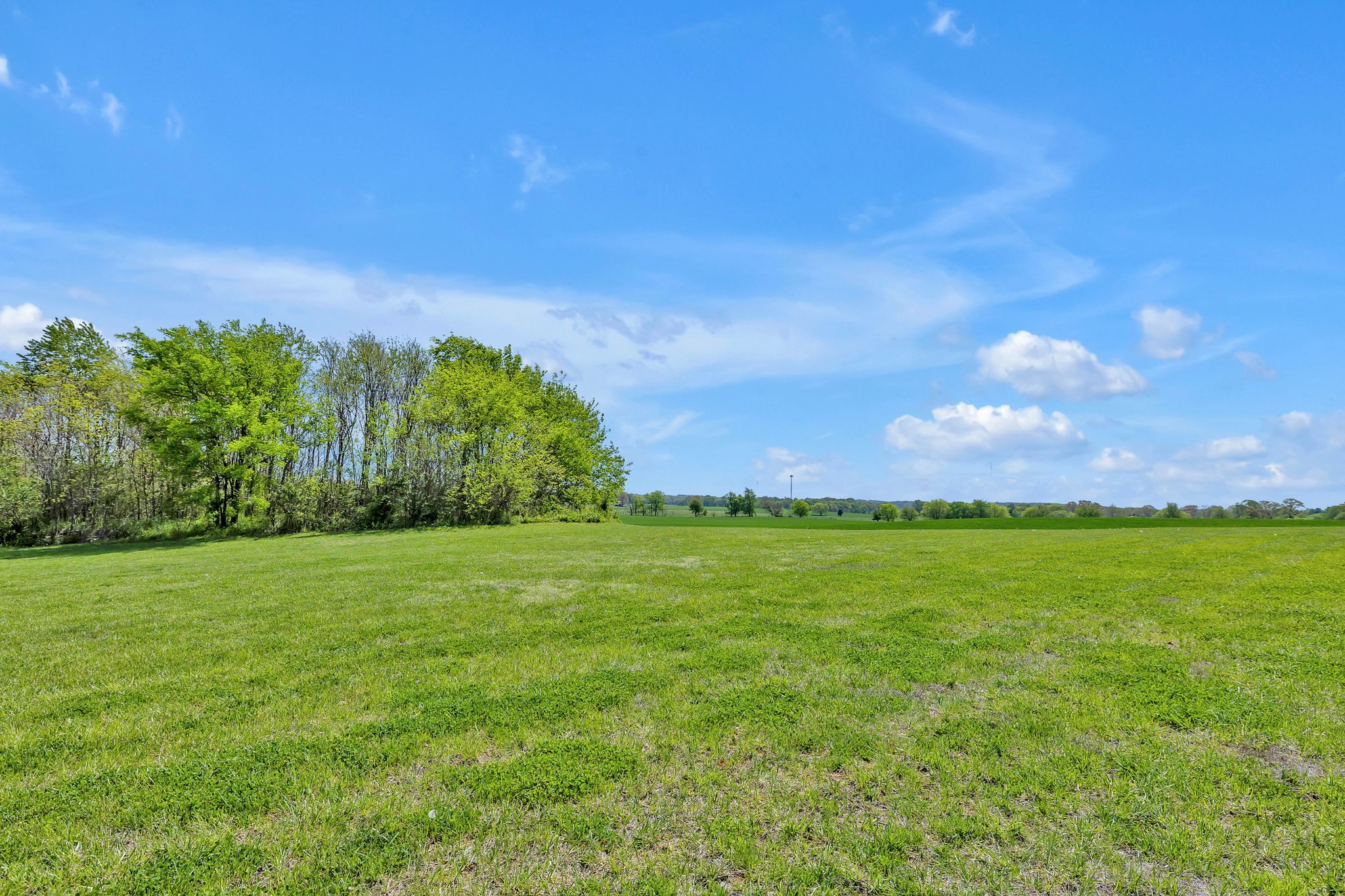 8087 Dunn Road Cedar Hill, TN 37032 - Photo 25 of 33 a yard with lots of trees in the background