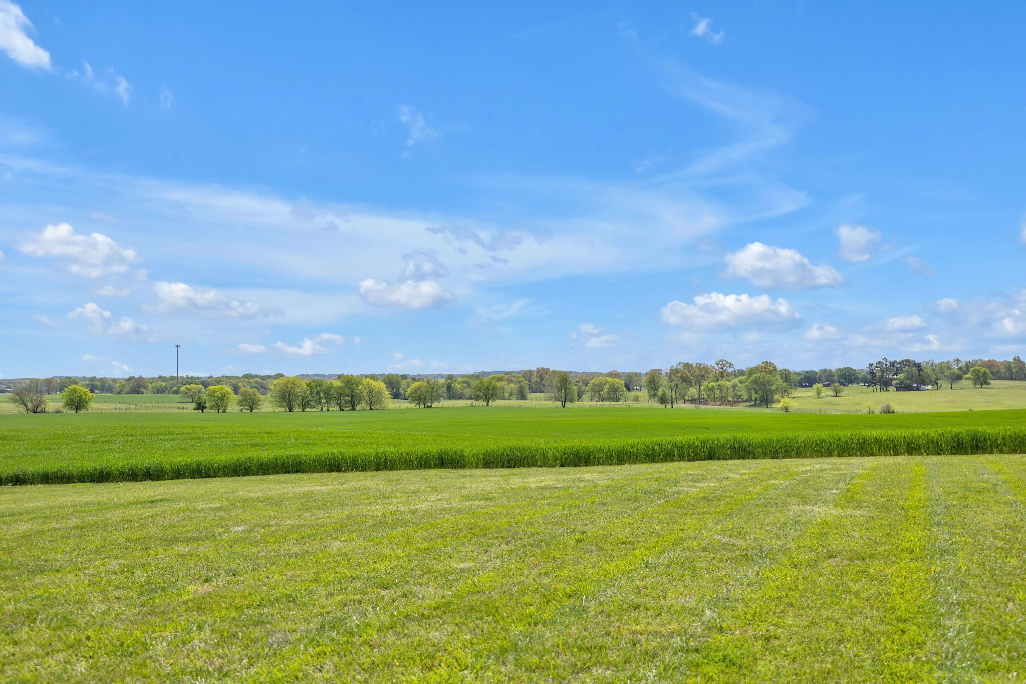 8087 Dunn Road Cedar Hill, TN 37032 - Photo 26 of 33 a view of an ocean and a yard