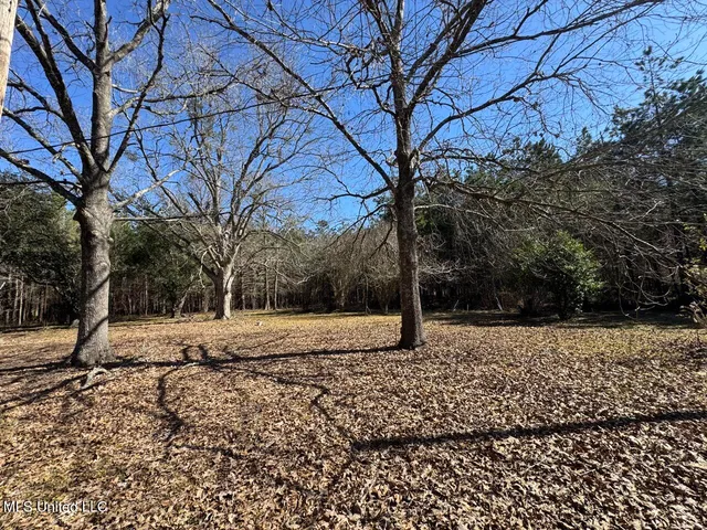 $299,000 | 165 Mitchell Road, Jonesville, LA 71343