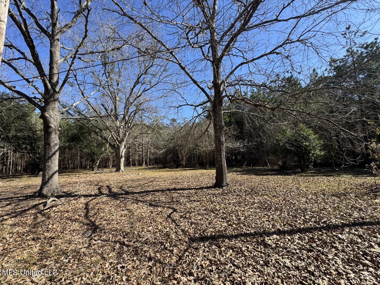 165 Mitchell Road Jonesville, LA 71343 - Photo 15 of 56 IMG_1736 Large