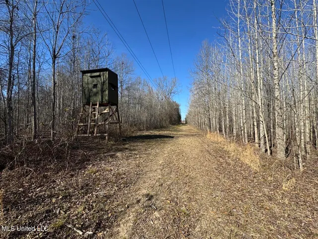 $299,000 | 165 Mitchell Road, Jonesville, LA 71343