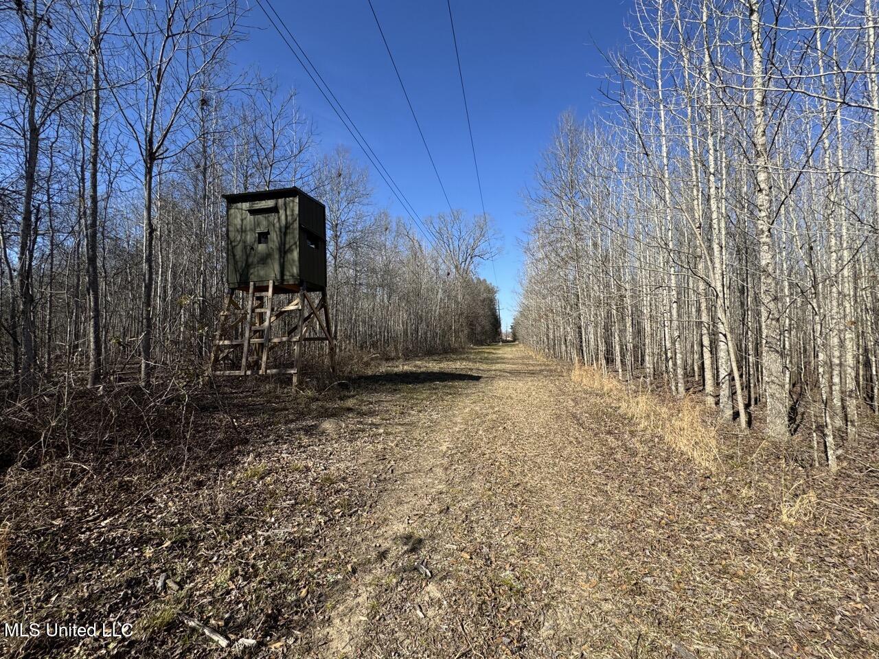 165 Mitchell Road Jonesville, LA 71343 - Photo 19 of 56 IMG_1740 2 Large