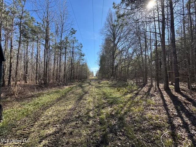 $299,000 | 165 Mitchell Road, Jonesville, LA 71343
