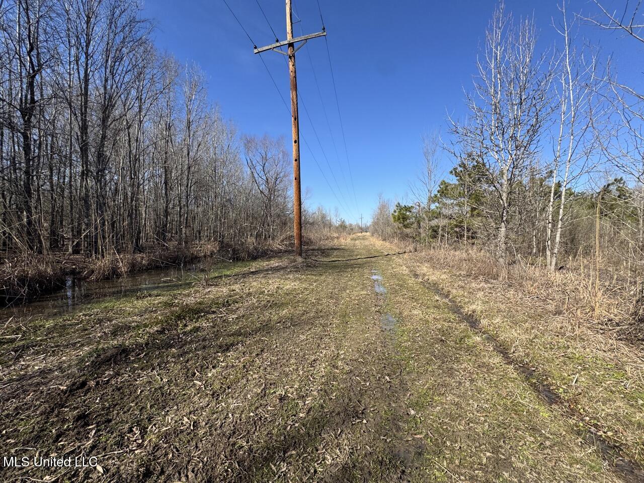 165 Mitchell Road Jonesville, LA 71343 - Photo 21 of 56 IMG_1742 Large