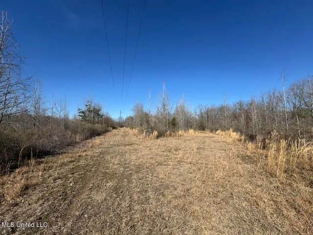 $299,000 | 165 Mitchell Road, Jonesville, LA 71343