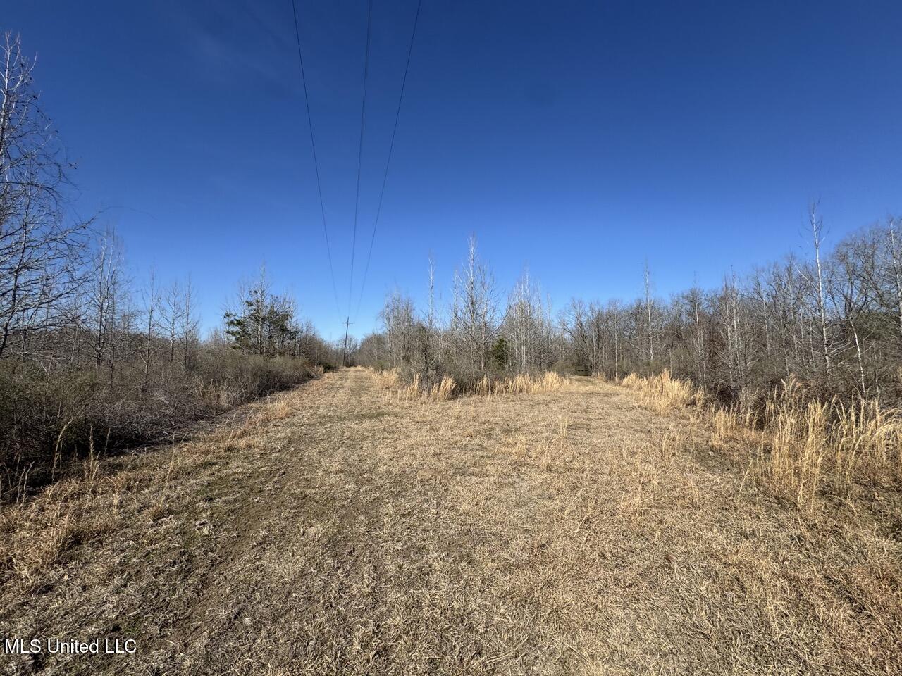 165 Mitchell Road Jonesville, LA 71343 - Photo 22 of 56 IMG_1743 Large