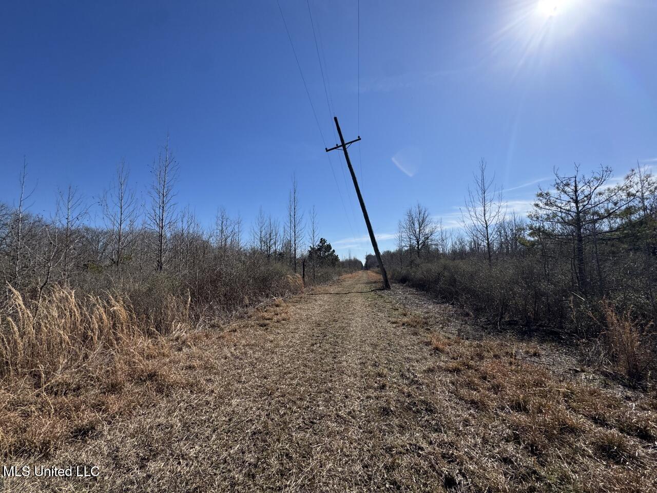 165 Mitchell Road Jonesville, LA 71343 - Photo 23 of 56 IMG_1744 Large