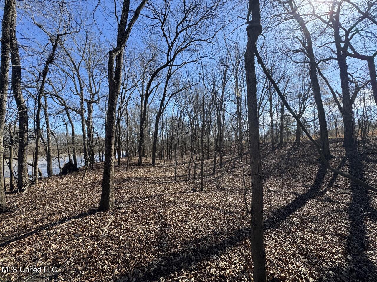 165 Mitchell Road Jonesville, LA 71343 - Photo 24 of 56 IMG_1745 Large