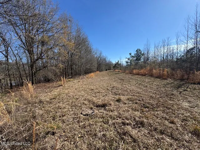 $299,000 | 165 Mitchell Road, Jonesville, LA 71343