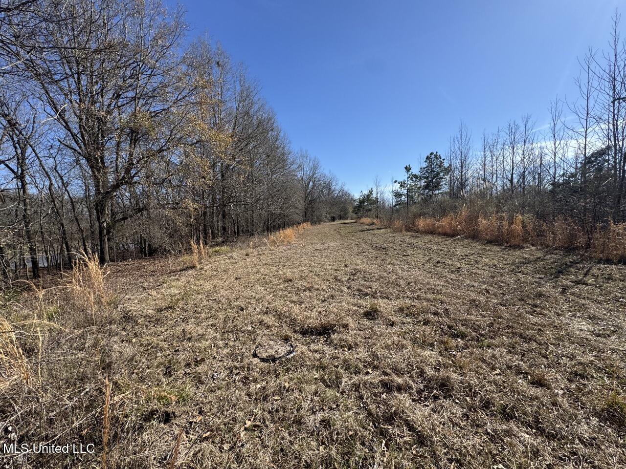 165 Mitchell Road Jonesville, LA 71343 - Photo 26 of 56 IMG_1748 Large