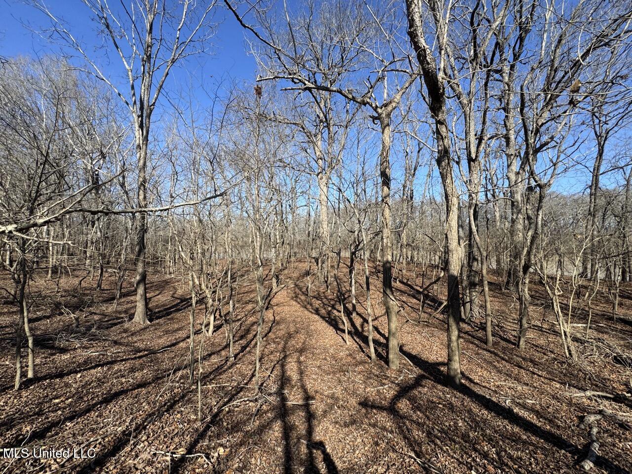 165 Mitchell Road Jonesville, LA 71343 - Photo 27 of 56 IMG_1749 Large