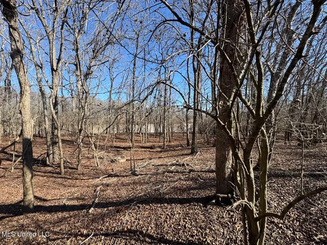 $299,000 | 165 Mitchell Road, Jonesville, LA 71343