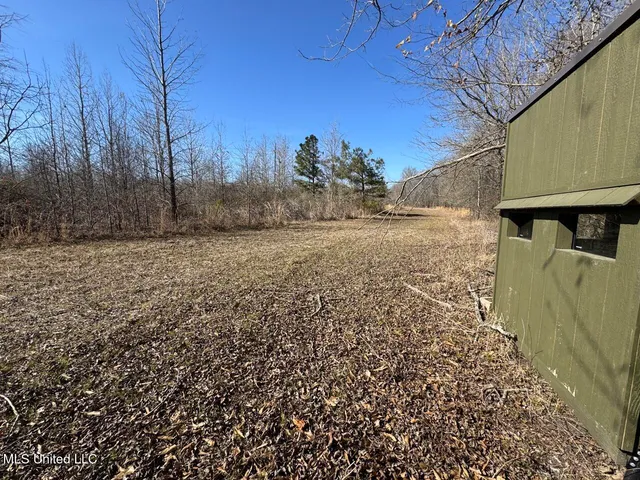 $299,000 | 165 Mitchell Road, Jonesville, LA 71343