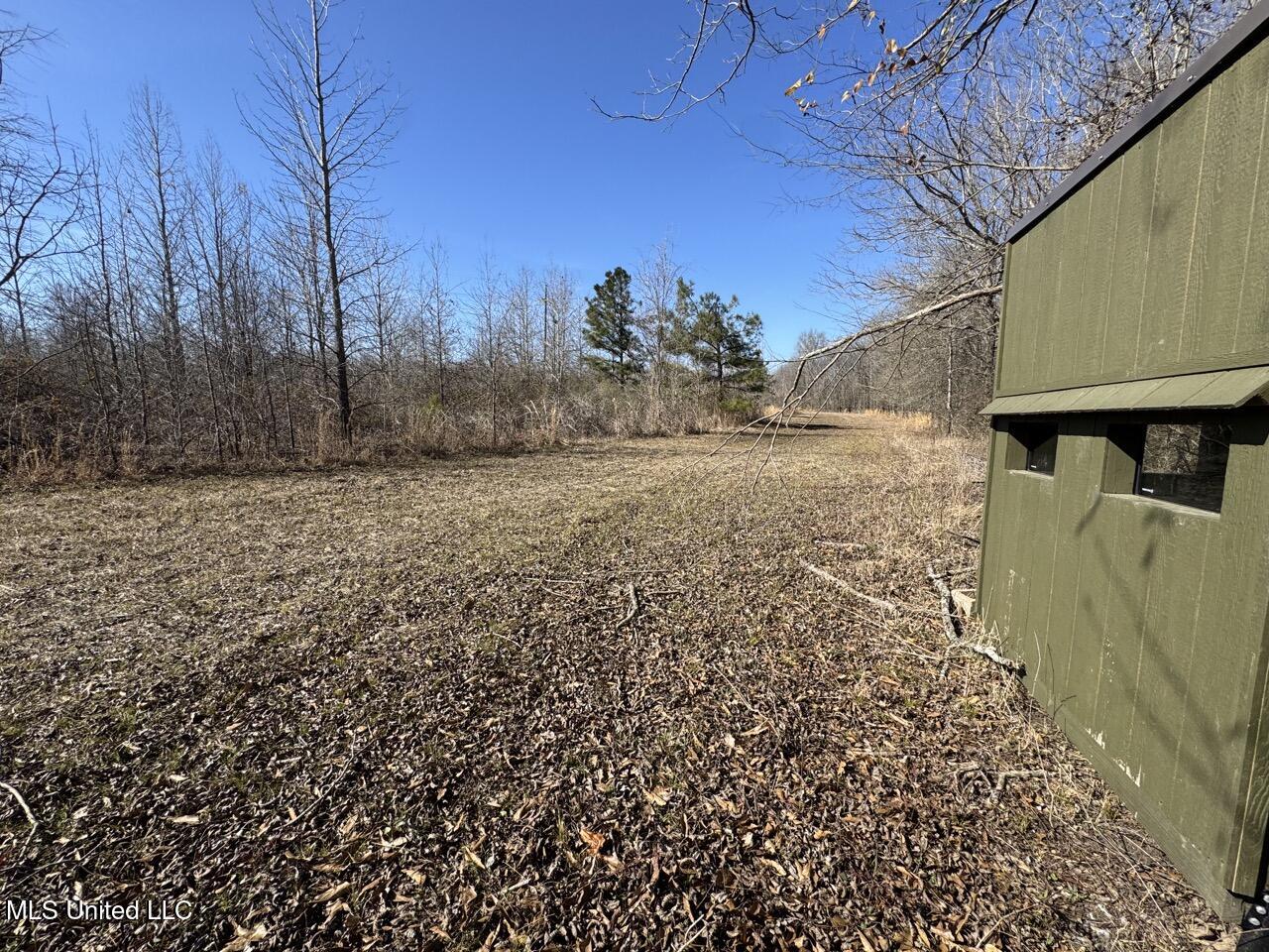 165 Mitchell Road Jonesville, LA 71343 - Photo 29 of 56 IMG_1751 Large