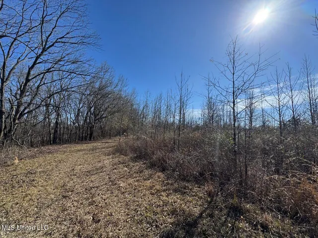 $299,000 | 165 Mitchell Road, Jonesville, LA 71343