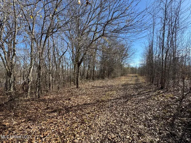 $299,000 | 165 Mitchell Road, Jonesville, LA 71343