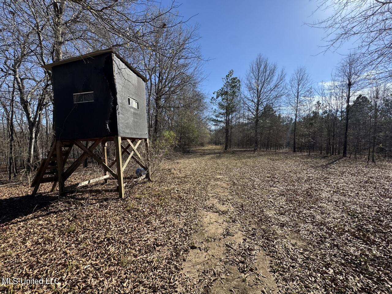165 Mitchell Road Jonesville, LA 71343 - Photo 34 of 56 IMG_1756 Large